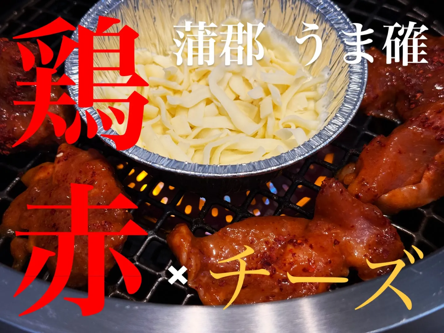 赤鶏 × チーズ