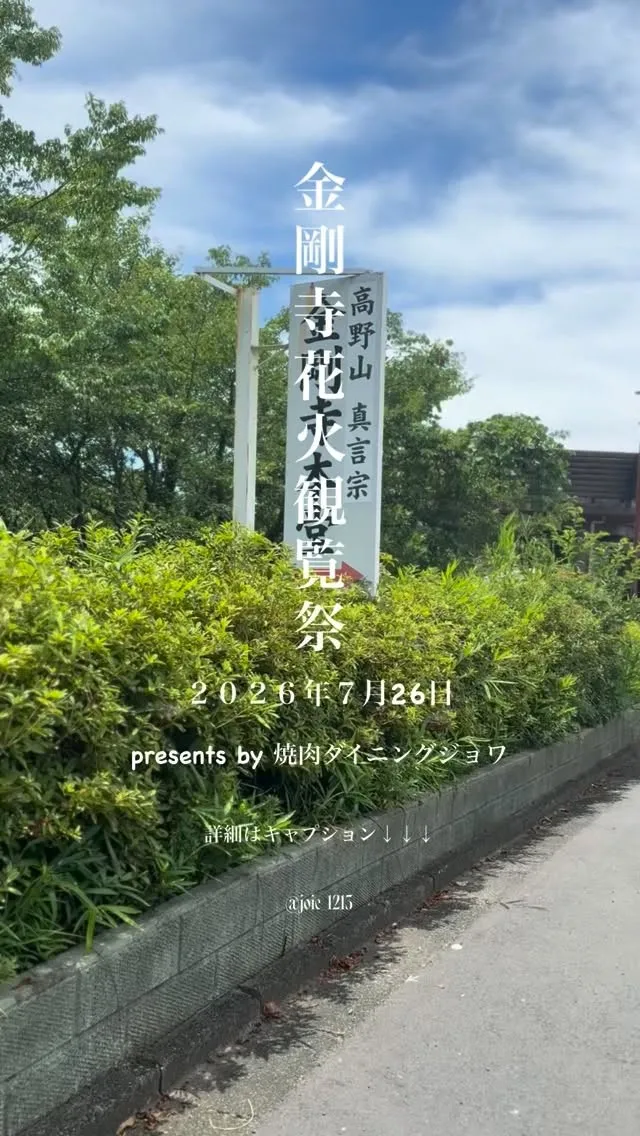 蒲郡花火、下から見るか横から見るか