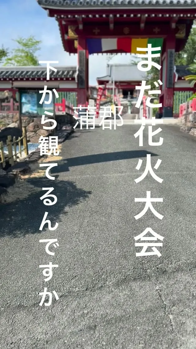蒲郡花火、山の上から花火が見える