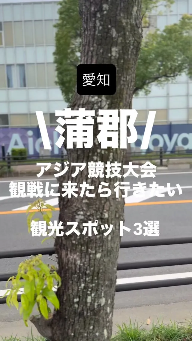 🇯🇵蒲郡に来たなら、観戦だけじゃもったいない。